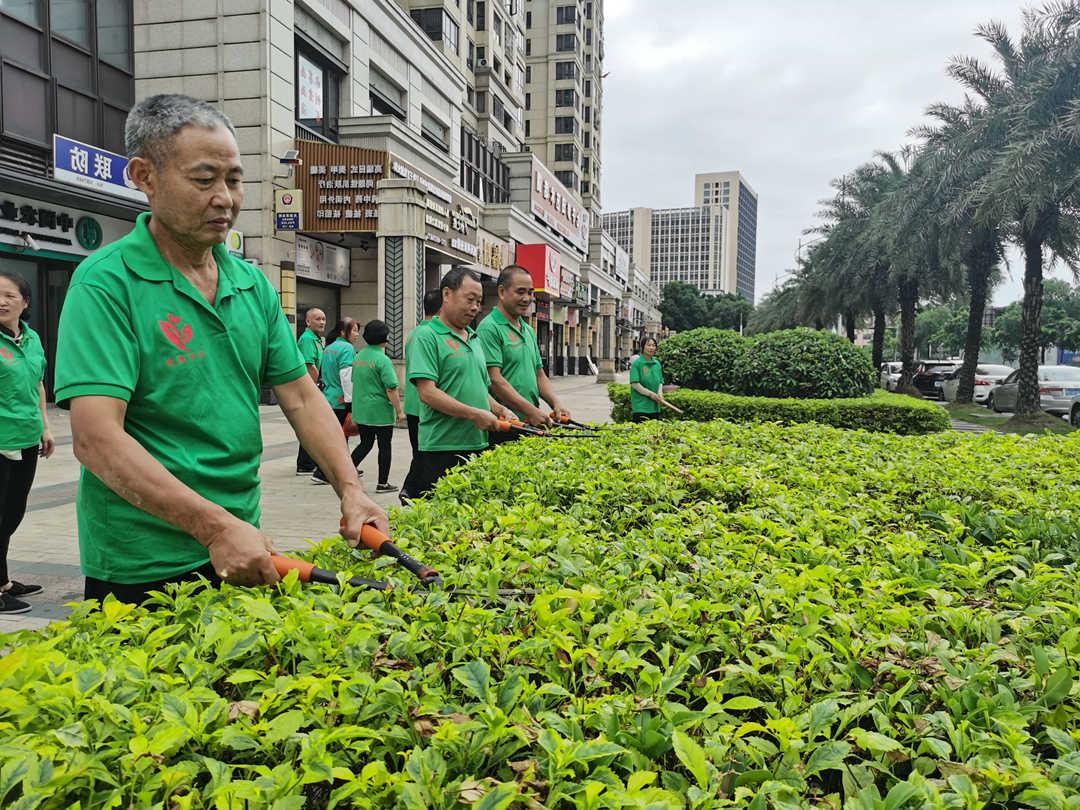 欢迎访问十大电子网址日常绿化养护工作